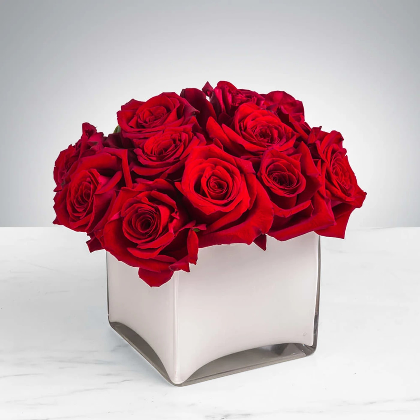 Radiant in Red  - This bold yet tasteful bouquet is the perfect size for any desk. Radiant in Red by BloomNation™ makes a great gift for Valentine's Day, a Birthday, or an Anniversary.  Arrangement Details: 12 Red Roses in a White, Cubed Vase APPROXIMATE DIMENSIONS 8&quot; H X 10&quot; L X 8&quot;W