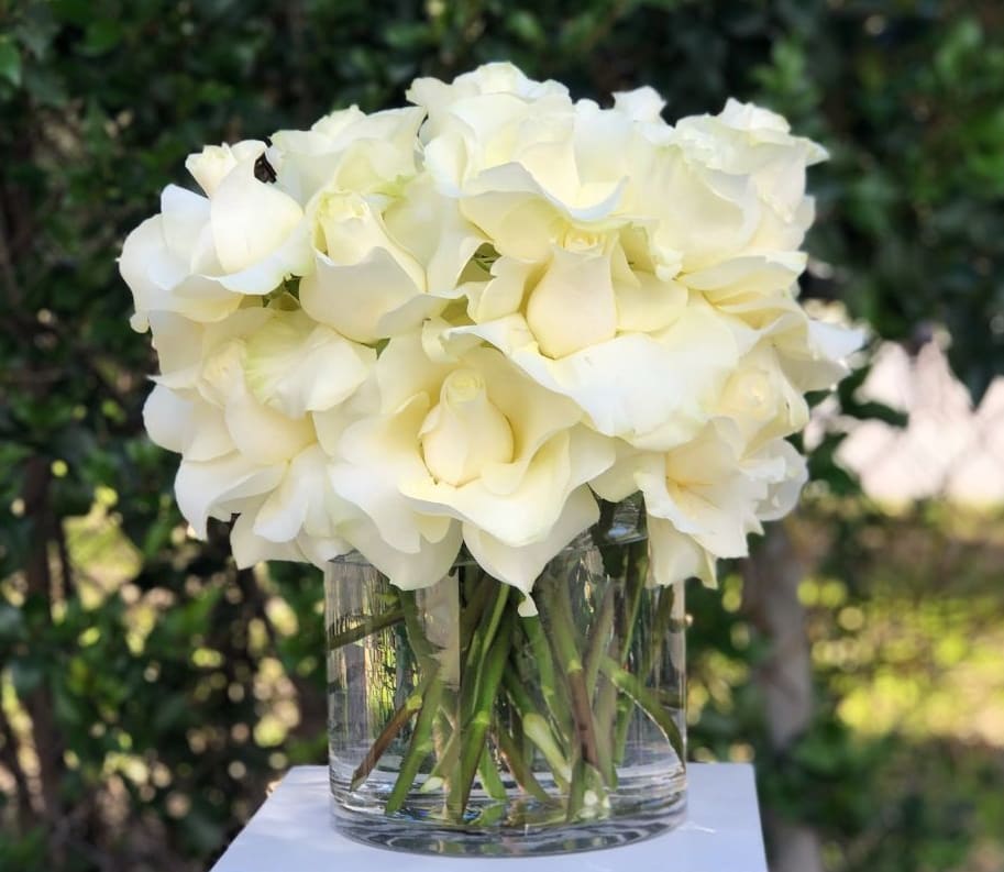 Demure roses  in white - Discover the enchantment of premium long-stem imported white roses with &quot;Demure,&quot; an exquisite floral creation from Dave's Flowers. Our expert florists carefully reflect the roses to enhance their beautiful texture, and the stems are skillfully cut to create a compact arrangement. This meticulous process not only lends a fresh and delicate look but also ensures a lasting impression.  As your local florist in Los Angeles, we take pride in crafting floral masterpieces that evoke emotions and leave a mark. &quot;Demure&quot; is designed to make your loved one smile with its elegant simplicity.  Explore the floral artistry of Dave's Flowers and order now to experience the charm of premium white long-stem roses. Perfect for any occasion, &quot;Demure&quot; adds a touch of sophistication and freshness to your special moments. Elevate your gifting experience with the exquisite simplicity of &quot;Demure&quot; from Dave's Flowers.