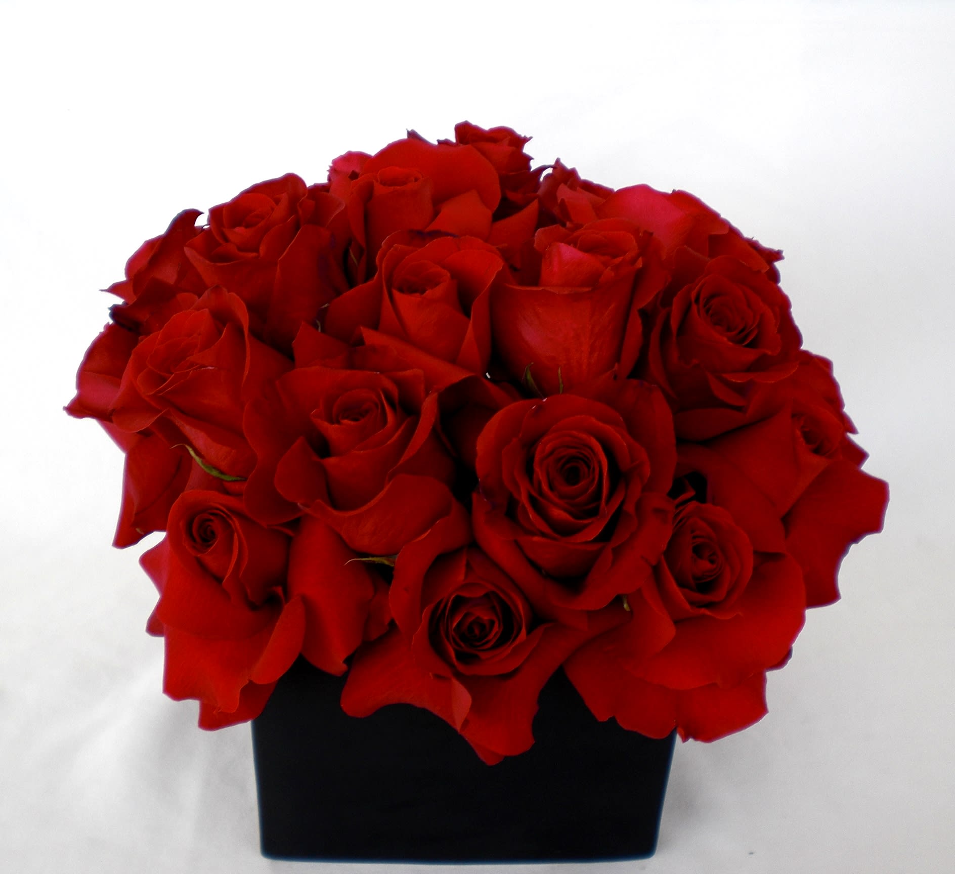 Passion Red Roses  - Immerse yourself in the timeless beauty of Dave's Flowers' exquisite arrangement featuring alluring red roses, elegantly presented in a sleek black cube container. This classic and sophisticated display is perfect for expressing love and admiration on any occasion.  As a local Los Angeles florist, we specialize in creating stunning floral designs that leave a lasting impression. Our all-red roses arrangement is a symbol of passion and romance, expertly arranged to add a touch of elegance to your space.  Explore the richness of our floral offerings at Dave's Flowers and make a statement with the vibrant hues of red roses. Ideal for birthdays, anniversaries, or moments that call for heartfelt expressions, our arrangements bring beauty and emotion to every occasion. Order now through our Flower Delivery in Los Angeles service to experience the unmatched quality and style of Dave's Flowers.