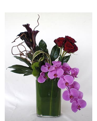  Black Forest Roses  - Dramatic black calla lilies combined with dark red roses and a pop of purple phaleanopsis orchids make this arrangment an everlasting impression for anyone.  Product ID: DF-1391
