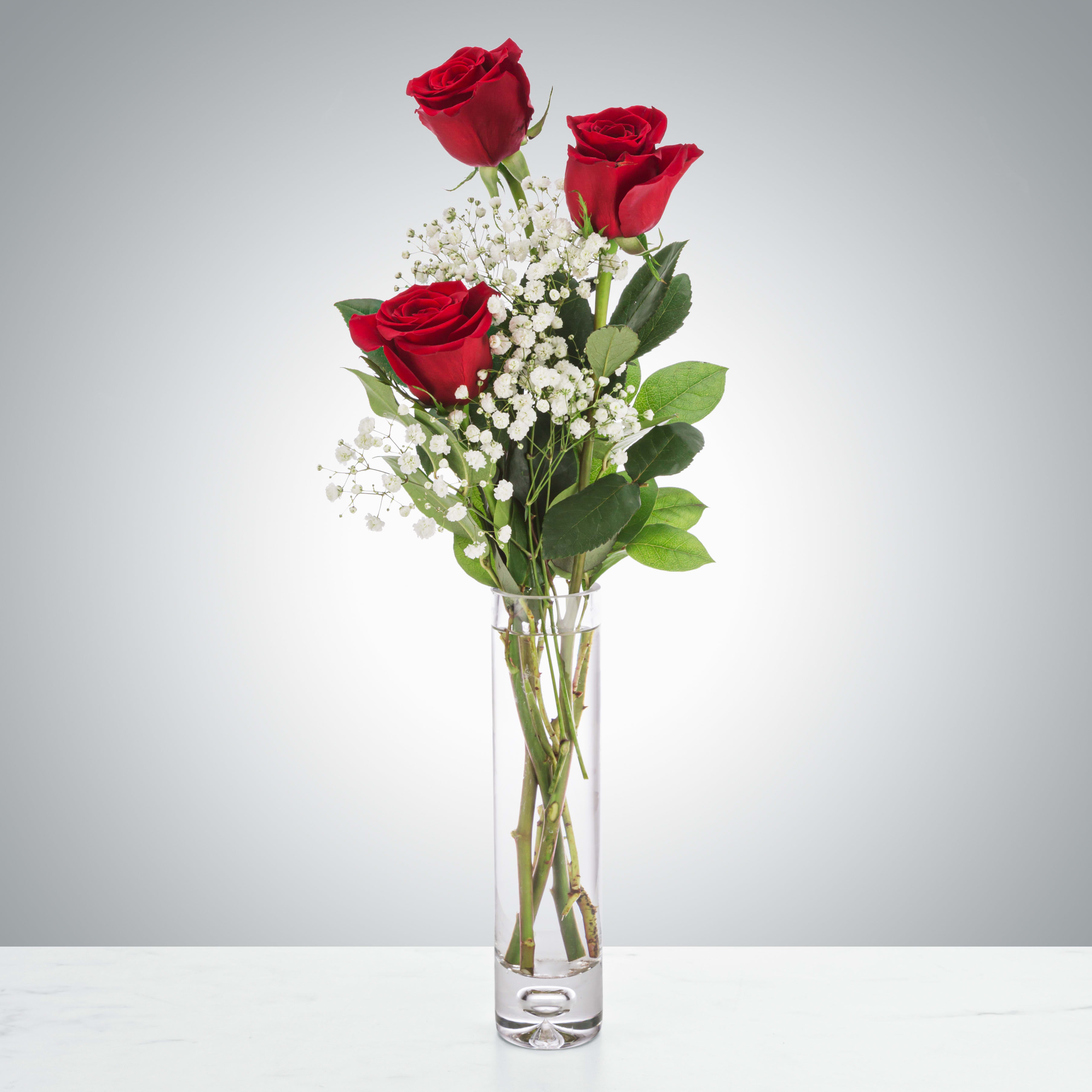 XO by BloomNation™ - Send a cute and sweet red rose bud vase to your love, your friend, or your relative for Valentine's day. Sending this arrangement is a lovely gesture and shows that you are thinking of them without breaking the bank!  Approximate Dimensions: 5&quot;D x 15&quot;H