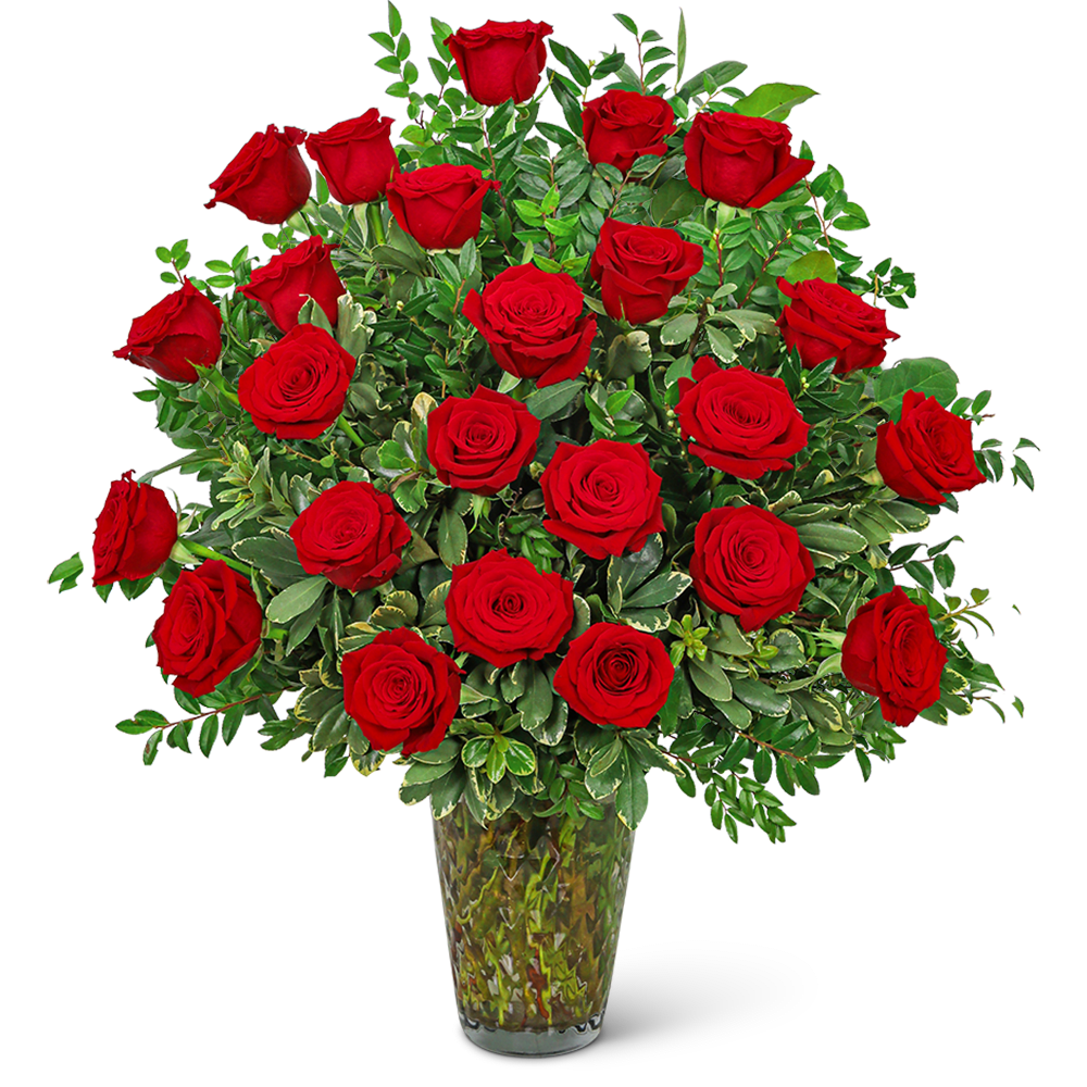 Two Dozen Elegant Red Roses - Our Two Dozen Elegant Red Roses is a stunning flower arrangement that exudes timeless elegance and sophistication. This luxurious arrangement features 24 of the finest long-stemmed red roses, expertly arranged in a classic vase to showcase their natural beauty and grace. The rich red hue of the roses symbolizes deep love, passion, and admiration, making it the perfect gift for a special someone on any occasion. Whether you're looking to make a grand romantic gesture or simply want to express your love and appreciation, Two Dozen Elegant Red Roses is the perfect choice. Order yours today and make a statement that will be remembered for a lifetime.