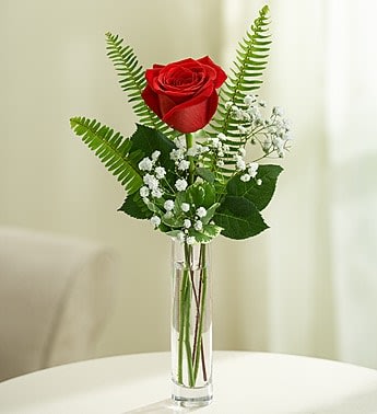 Love's Embrace Roses - Red Love's Embrace Roses - Red - Product ID: 1030 Embrace your feelings with a classic gift of long-stem red roses. Displayed elegantly in a glass vase and artistically designed by our select florists, these stunning roses send a memorable message to your special someone that help you express yourself perfectly, no matter what the occasion. Fresh long-stem red roses, artistically arranged by our florists with fresh gypsophila Available in arrangements of 6 roses, 3 roses or a single long-stem rose 6-stem arrangement in an 5"H glass cube vase measures approximately 7.5"H x 5.5"L 3-stem arrangement in a glass bud vase measures approximately 16"H x 4"L Single-stem arrangement in a bud vase measures approximately 16"H x 4"L Our florists hand-design each arrangement, so colors, varieties, and container may vary due to local availability