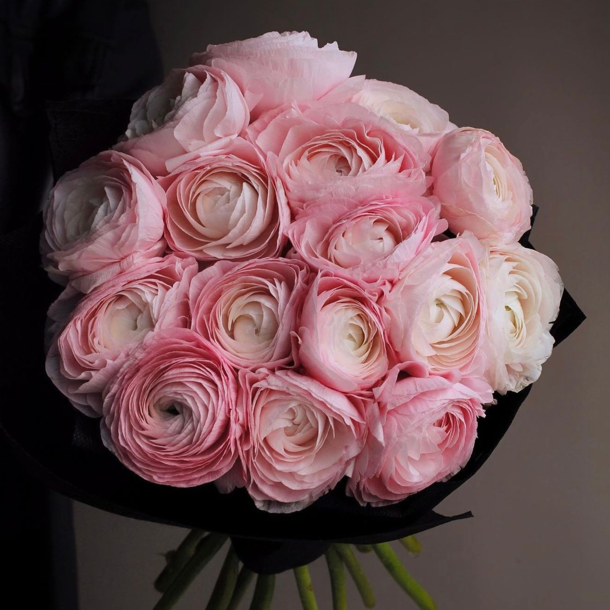 Ranunculus Bouquet - Ranunculus Bouquet