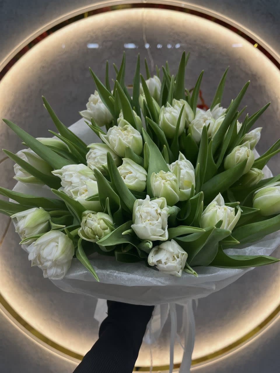 White Tulips - Flowers will be delivered approximately as pictured