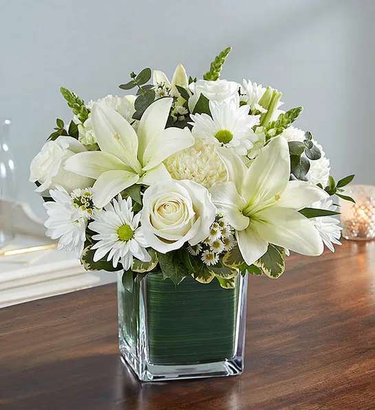 Healing Tears All White - There is an innocence to all souls that is evoked in an expression of pure white. Our sympathy arrangement of angelic white roses, lilies, mums, daisy poms and more, expertly arranged in a clear glass cube lined with a Ti leaf ribbon, makes for an exquisite gesture of comfort and healing. 