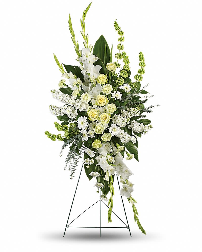 Magnificent Life Spray - A magnificent symbol of love and peace this pure white and green spray conveys your sympathy with elegance and grace. This gorgeous array of green roses green carnations white gladioli white stock white cushion spray chrysanthemums and bells of Ireland is accented with green ti leaves spiral eucalyptus and lemon leaf.