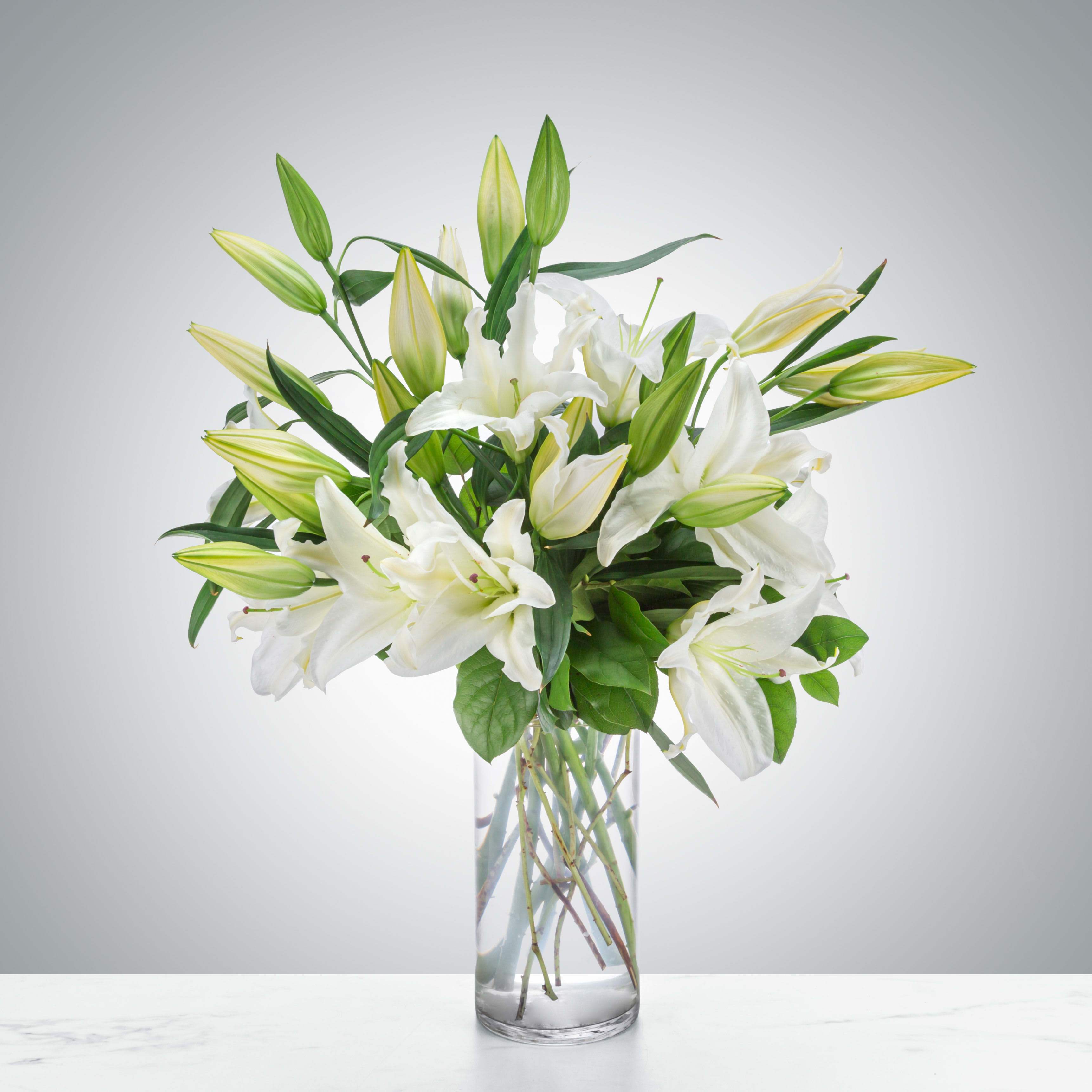 Peaceful Evening  - White lilies stand tall and beautiful. Send an impactful gift to somebody whether it be for saying I am sorry or celebrating the new year. This arrangement instantly elevates any room and fills the space with that distinct sweet-smelling lily perfume.  