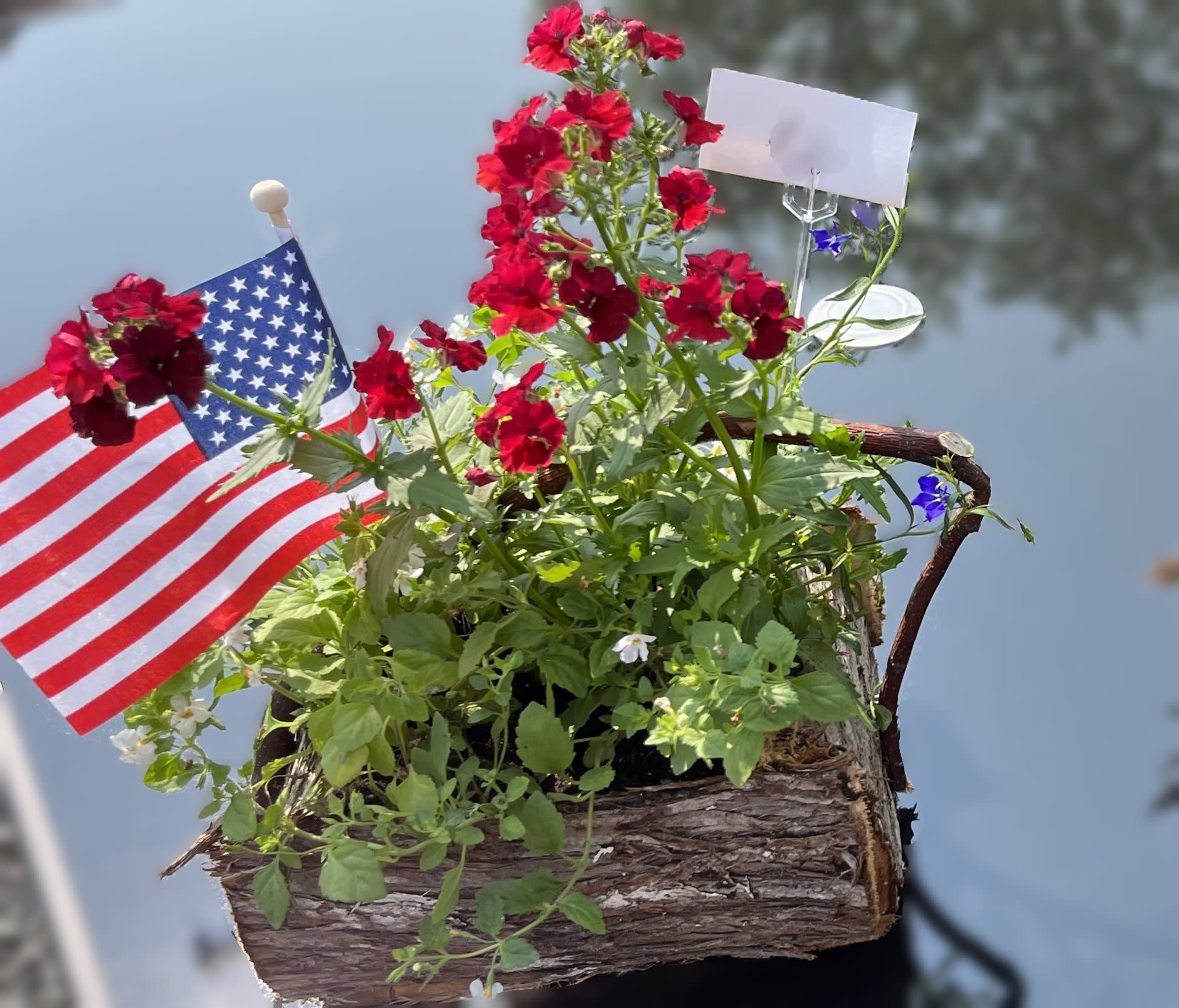 Memorial Containers  - These containers are made up in long planters, with red and white geraniums and a blue creeping ground cover.   Pictured at $60