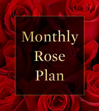 Monthly Rose Program - 6 months Monthly Rose Program - 6 months - Send the ultimate gift to be enjoyed every month for six months. We will select our finest premium roses direct to us from the grower on the day of each month you specify. The recipient will receive their first bouquet with a vase. Each delivery thereafter will consist of a gift-wrapped bouquet of 1 dozen roses (you choose the colors) with babies breath and greens. This is a luxurious and wonderful gift. (The total cost of this 6-month package is based on the average cost of roses throughout a 12-month).