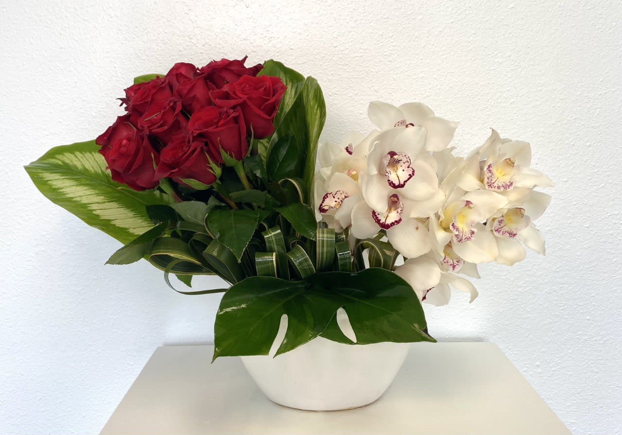 Femi - One dozen red roses accented with three white cymbidium orchid stems