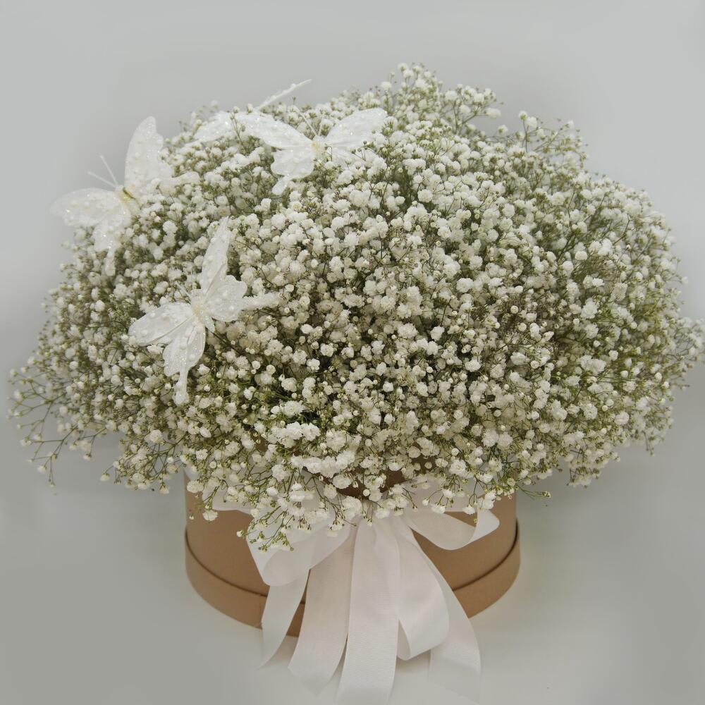 Angel - Gypsophilia