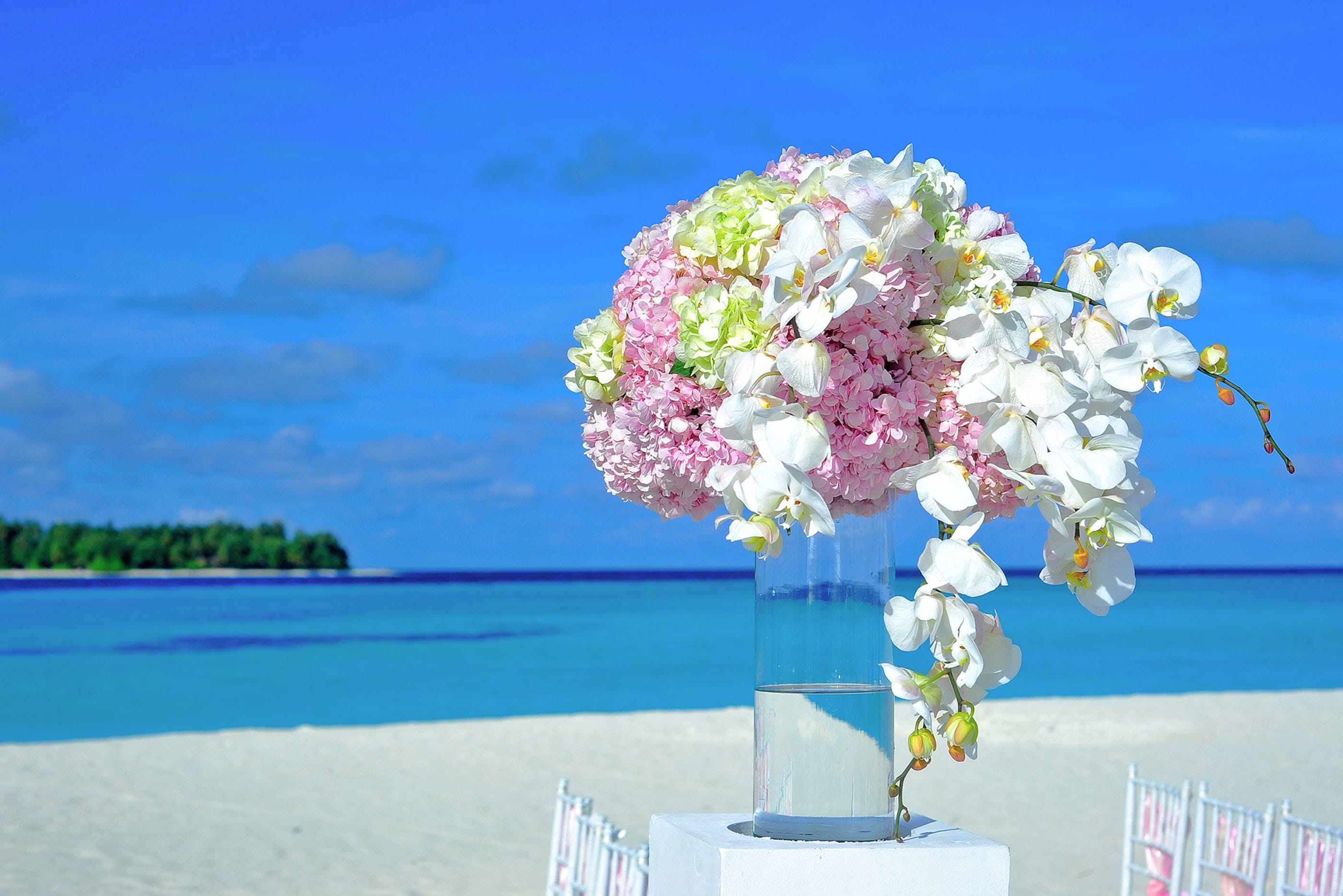 Welcome Arrangement  - Warmly invite your guests into your venue with a lively assortment of green and pink hydrangea with cascading orchids as the cherry on top!
