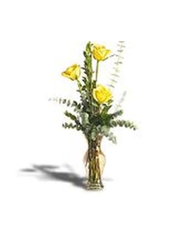 Roses of Appreciation - They make your life easier in so many ways. Express your gratitude with this dazzling trio of yellow roses in a field of glorious green. Includes yellow roses in a glass vase. 