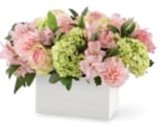 Sweet Charm - Planter box with soft colors of carnations, alstroemeria, hydrangea and roses