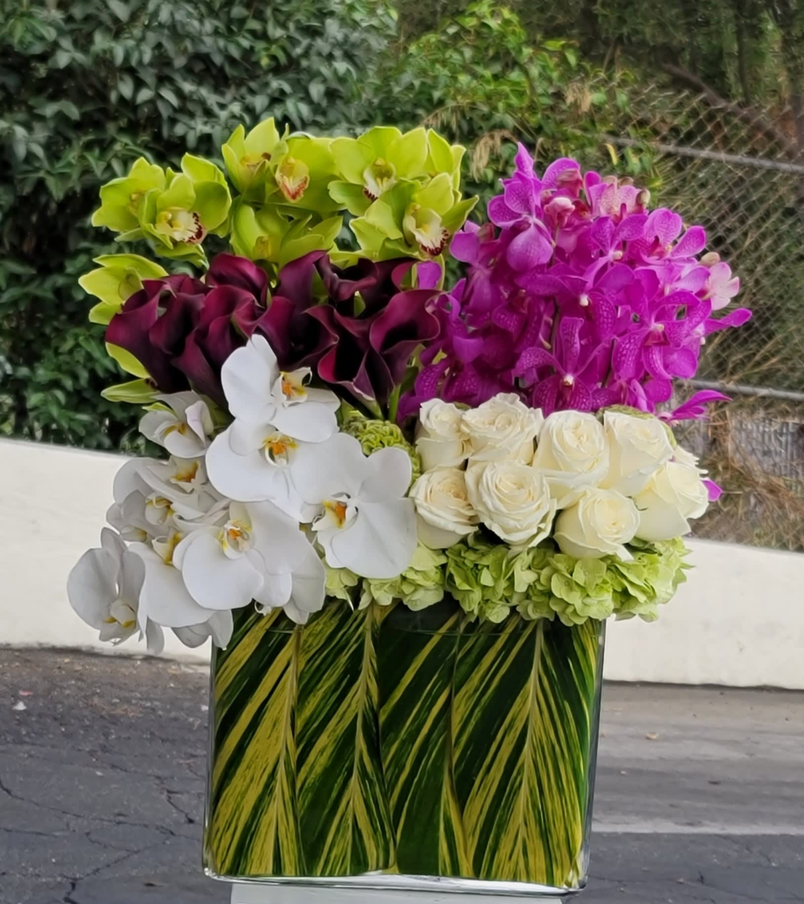 Westwood - Unleash a symphony of color and elegance with this stunning bouquet from Dave's Flowers, your Los Angeles oasis of floral artistry. Imagine velvety purple Mokara orchids dancing with vibrant green hydrangeas, graceful green cymbidium orchids adding depth, and a touch of purity with white phalaenopsis orchids and classic white roses. This masterpiece, meticulously crafted by hand, elevates any occasion with a touch of timeless LA sophistication.  More Than Just Blooms:  Fresh From Local Fields: We source every flower directly from trusted Los Angeles growers, ensuring vibrant color, intoxicating fragrance, and long-lasting freshness. Exquisitely Handcrafted: Our skilled Los Angeles florists, true artists of their craft, weave their magic, creating a harmonious masterpiece that surpasses expectations. Your Tailor-Made Floral Statement: Let us customize this beauty to your vision and budget, making it the perfect statement for birthdays, anniversaries, or simply adding a touch of LA elegance to your space. Blooming Convenience in LA:  Skip the traffic and let our blooms brighten your loved one's day. We offer convenient Los Angeles flower delivery, bringing the garden to their doorstep with same-day or scheduled options.