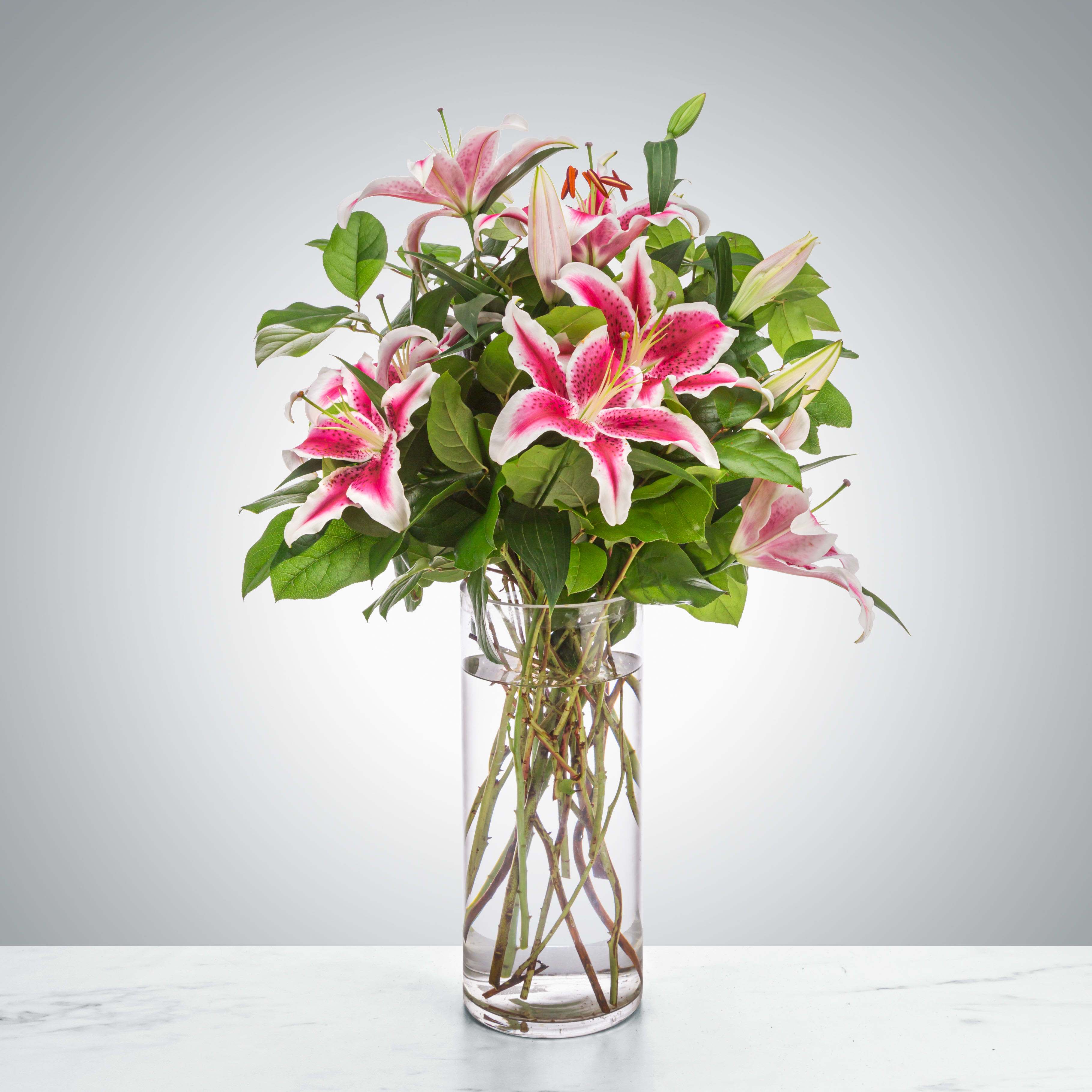 Splendent Stargazers  - Pink lilies stand for love, admiration, compassion, and femininity. Send this sweet-smelling lily arrangement for Mother's Day, Women's Day, or an Anniversary.  1st Image: Standard 2nd Image: Premium