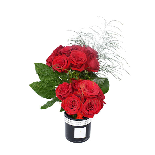 Precious Red - This elegant arrangement is sure to steal your heart .One dozen premium roses have been tastefully put together by our designer to create this lovely arrangement .This arrangement is about 20 inches tall and comes in a ceramic vase.For same day delivery please SMS: 832-973-1376 or Call: 832-973-1376 