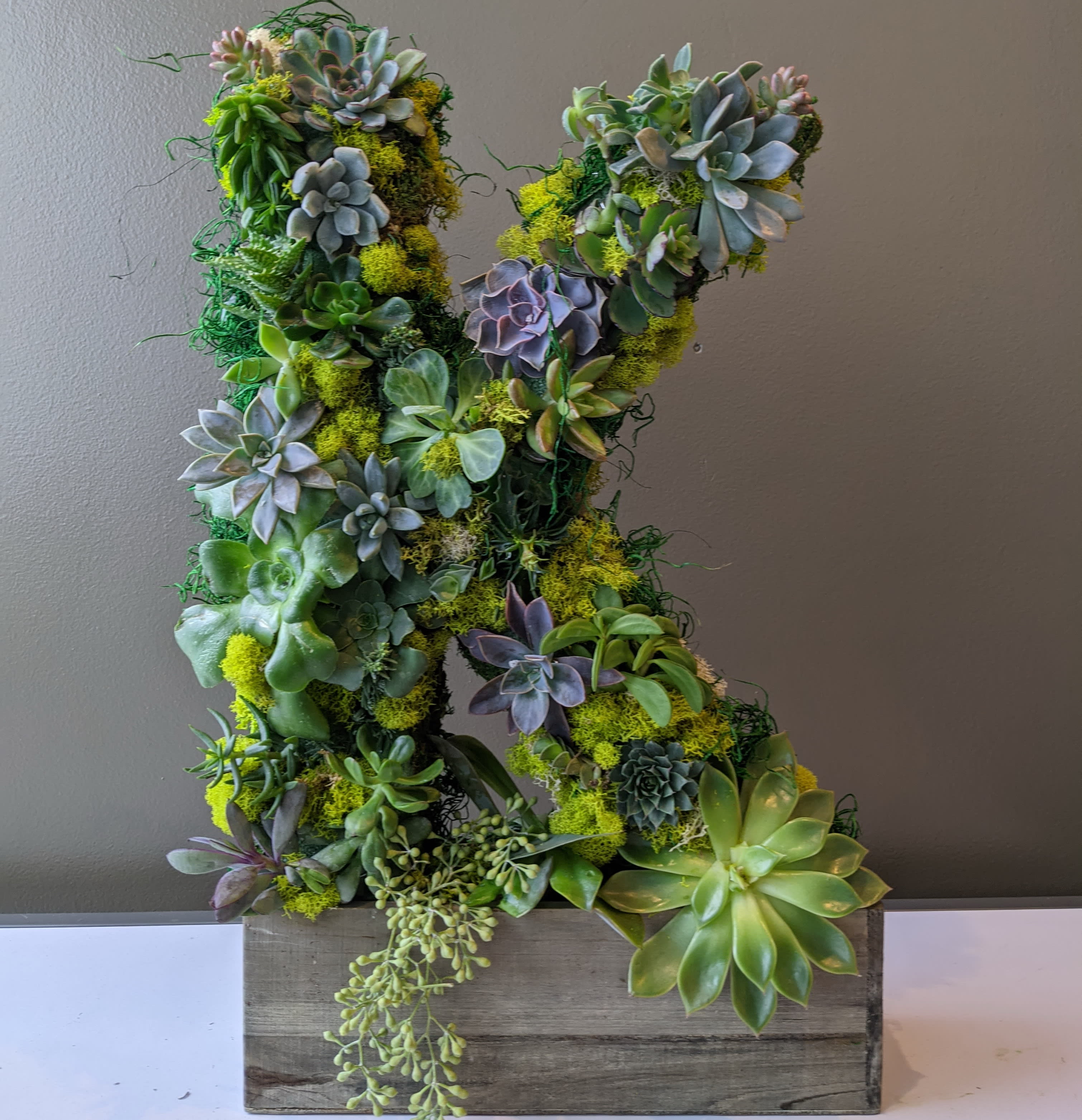 Succulicious Monogram Letter  - Give a custom made gift for someone special by sending the letter of their initials or special numbers!   Amazing summer succulents ,miniature air plants, and colorful fresh mosses make this gift totally unique!