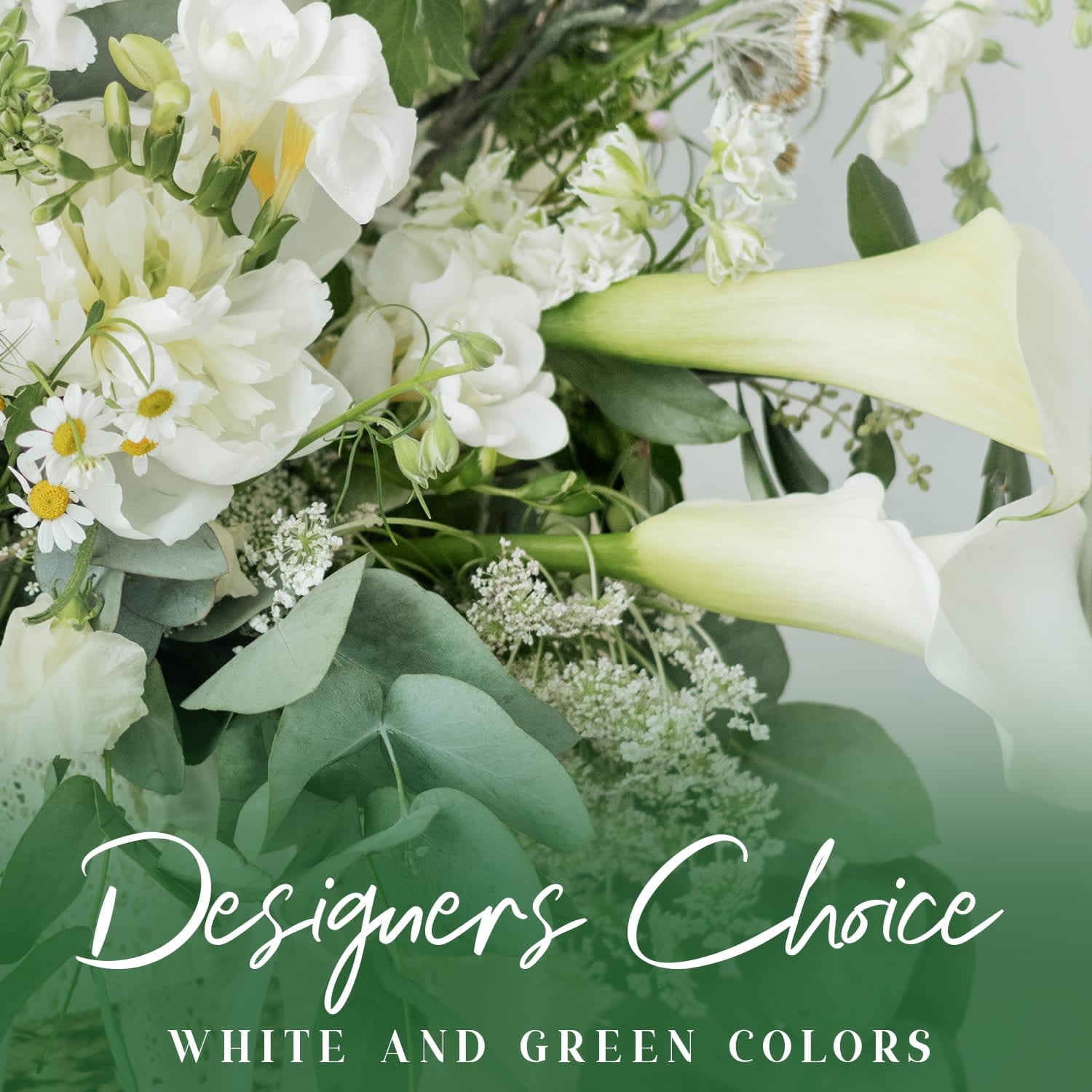 Designer's Choice Greens and Whites - Let our designers create a one of a kind arrangement with all white flowers and mixed seasonal greenery. Simple and Classic. 