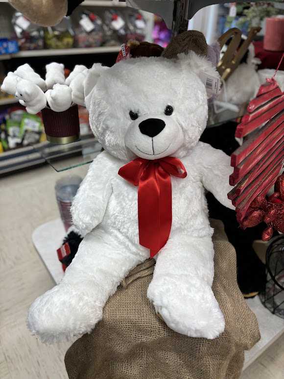 Large Teddy Bear in Wapakoneta OH Haehn Florist Greenhouses Flower Delivery