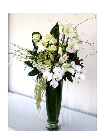 Pure White Pure White - Simple Elegat Product ID: DF-1476
