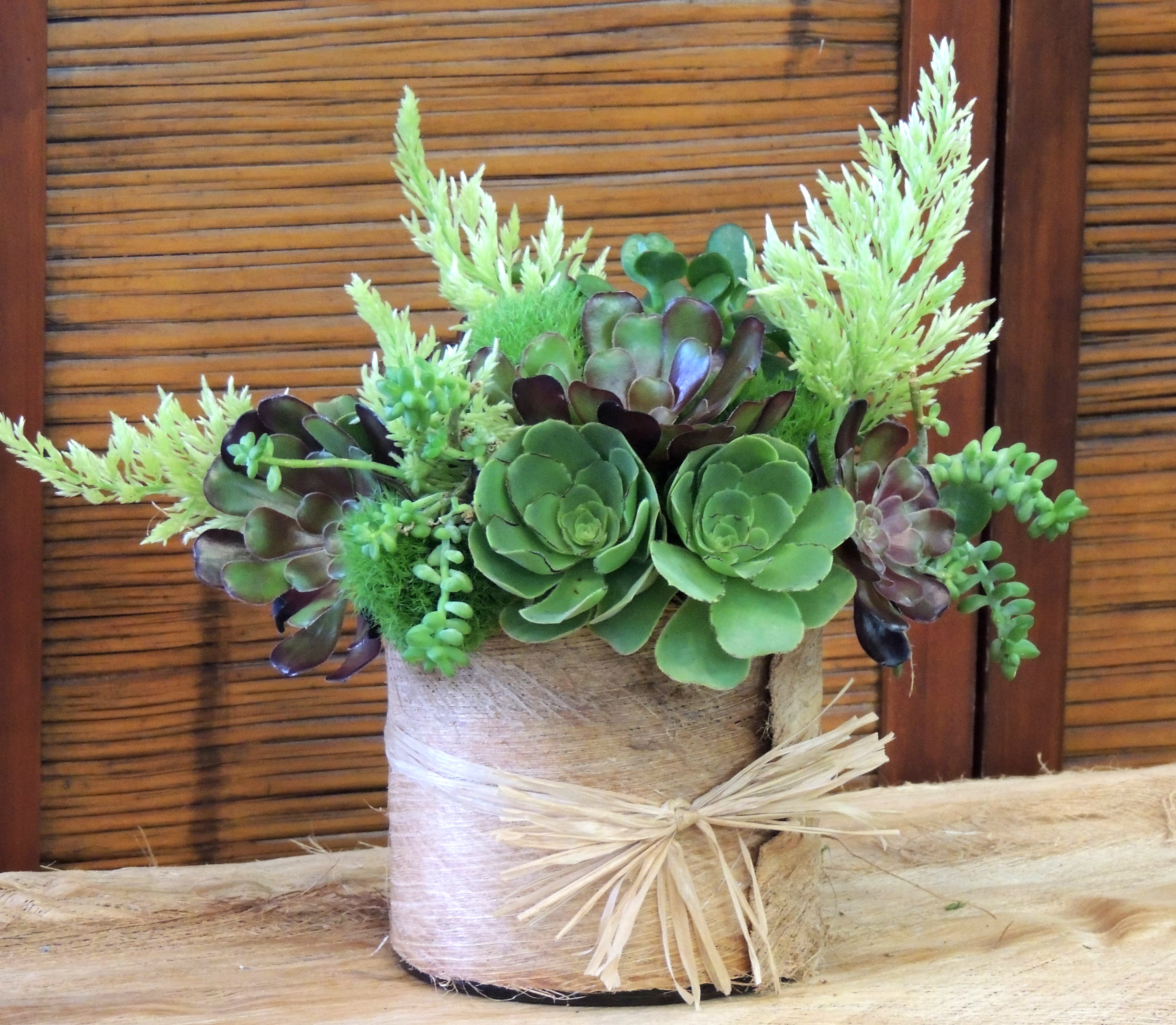 Succulents Green Lover  - Succulents, succulents, and more succulents! We combine this lovely arrangement with dianthus and other greenery in a palm lined container. The container is glass and covered with a natural linen-like fabric that gives a beautiful rustic feeling. It makes the perfect gift and is appropriate for any occasion!  Discover a captivating succulent paradise with our enchanting arrangement featuring a variety of succulents, dianthus, and lush greenery, elegantly nestled in a palm-lined glass container. At Dave's Flowers, we specialize in crafting unique floral compositions in Los Angeles, seamlessly blending the natural allure of succulents with the freshness of dianthus and verdant foliage.  Our carefully curated succulent collection boasts a diverse array of shapes and textures, creating a dynamic and visually striking arrangement that brings the beauty of the outdoors to any interior space. Complemented by the vibrant dianthus and carefully selected greenery, this arrangement radiates a refreshing and contemporary charm, perfect for gifting on any occasion.  Enhancing the presentation, the glass container is adorned with a natural linen-like fabric, lending a rustic touch that exudes both elegance and warmth. Whether it's a gesture of appreciation, a celebration, or a simple token of affection, this succulent ensemble from Dave's Flowers is sure to leave a lasting impression and bring a touch of natural sophistication to any setting.  Explore our diverse range of succulent creations at Dave's Flowers. in Los Angeles, and let us redefine your floral experience with our exquisite designs and unparalleled dedication to quality and craftsmanship.  DF-4006