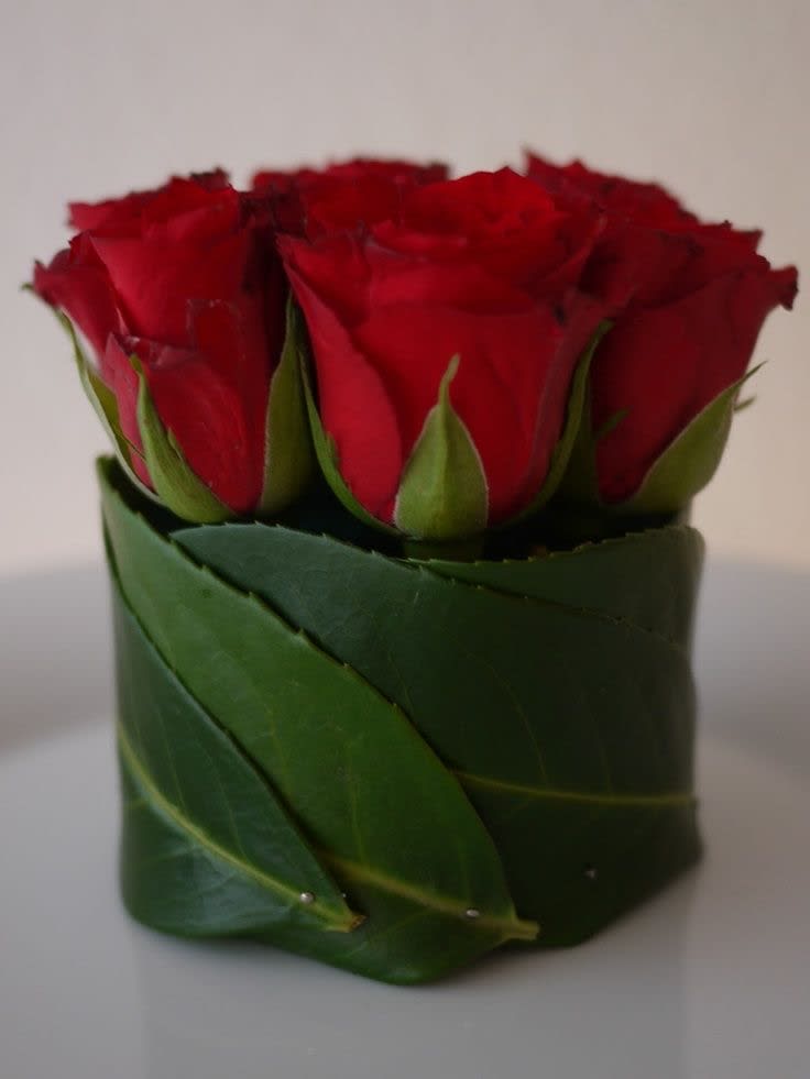 Roses for you in green Roses for you in green - Roses