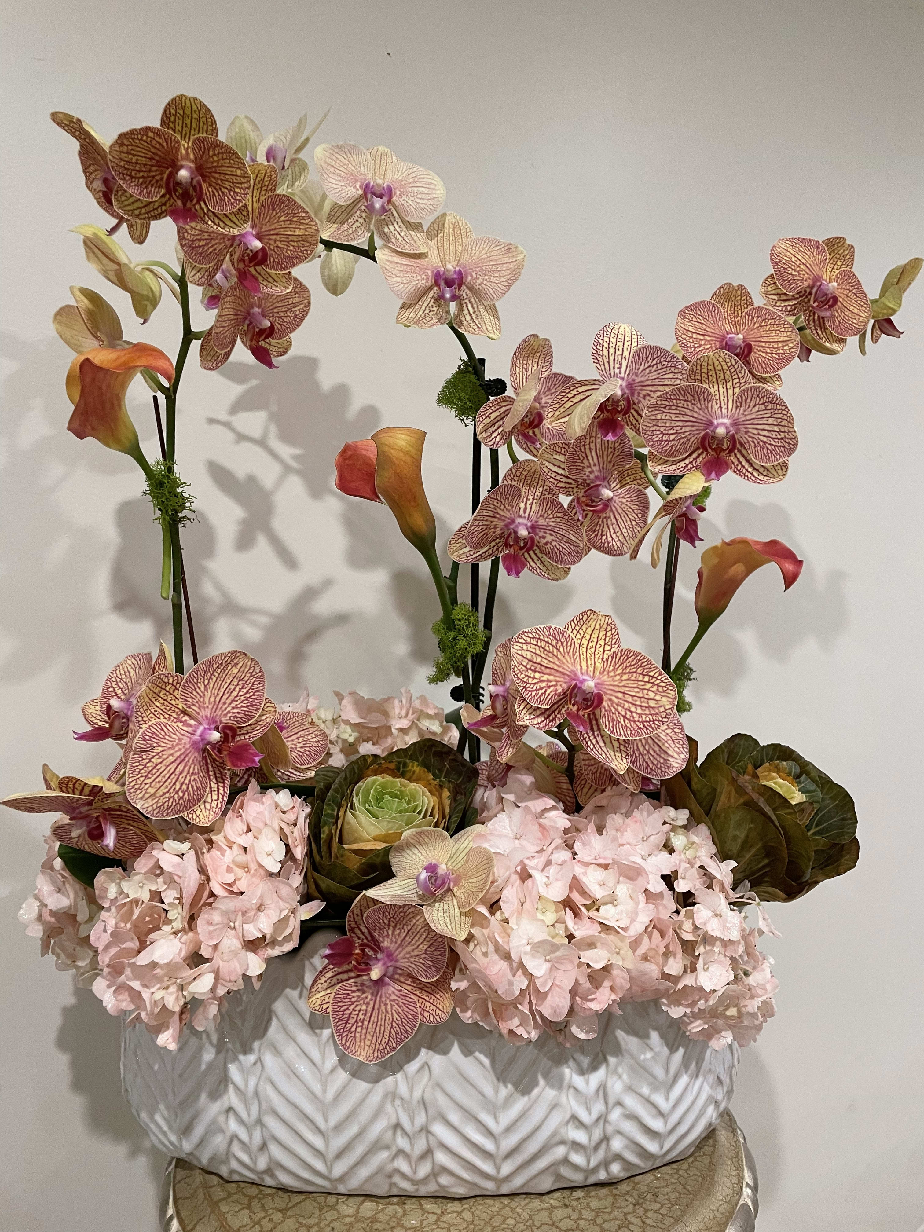 Coral - Beautifully designed orchids, peach orchids, mini calla lilies &amp; Ornamental cabbage 