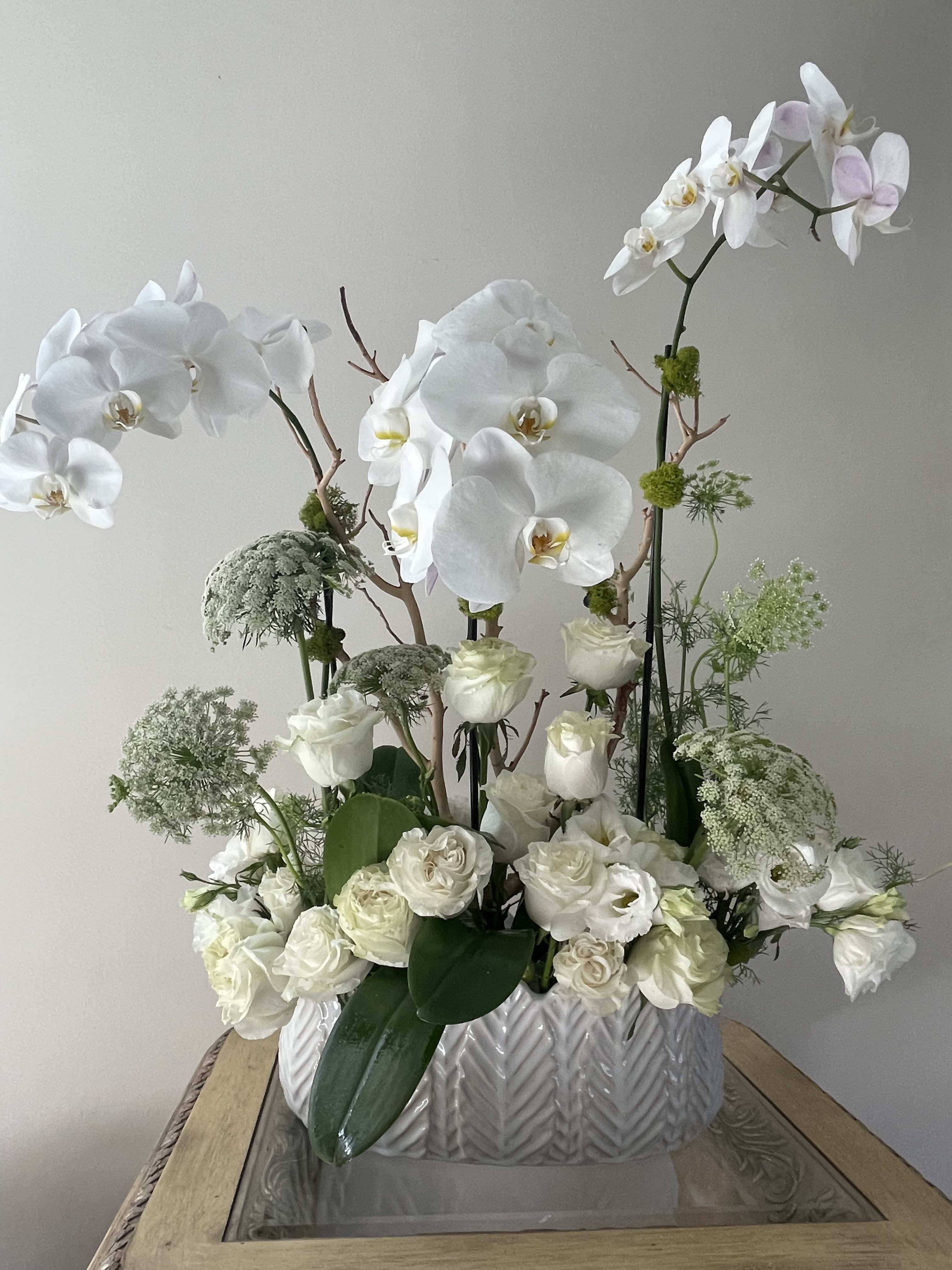 Frost Frost - White Orchid, White and Green Roses, Queen Anne’s Lace, and Lisianthus Flower