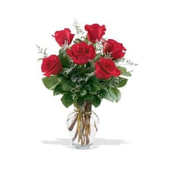 6 red Roses  - Half a dozen short stem red roses in a clear glass vase #spring #Valentine'sDay #Romance #love #roses #valentinesday  #Samedaydelivery 