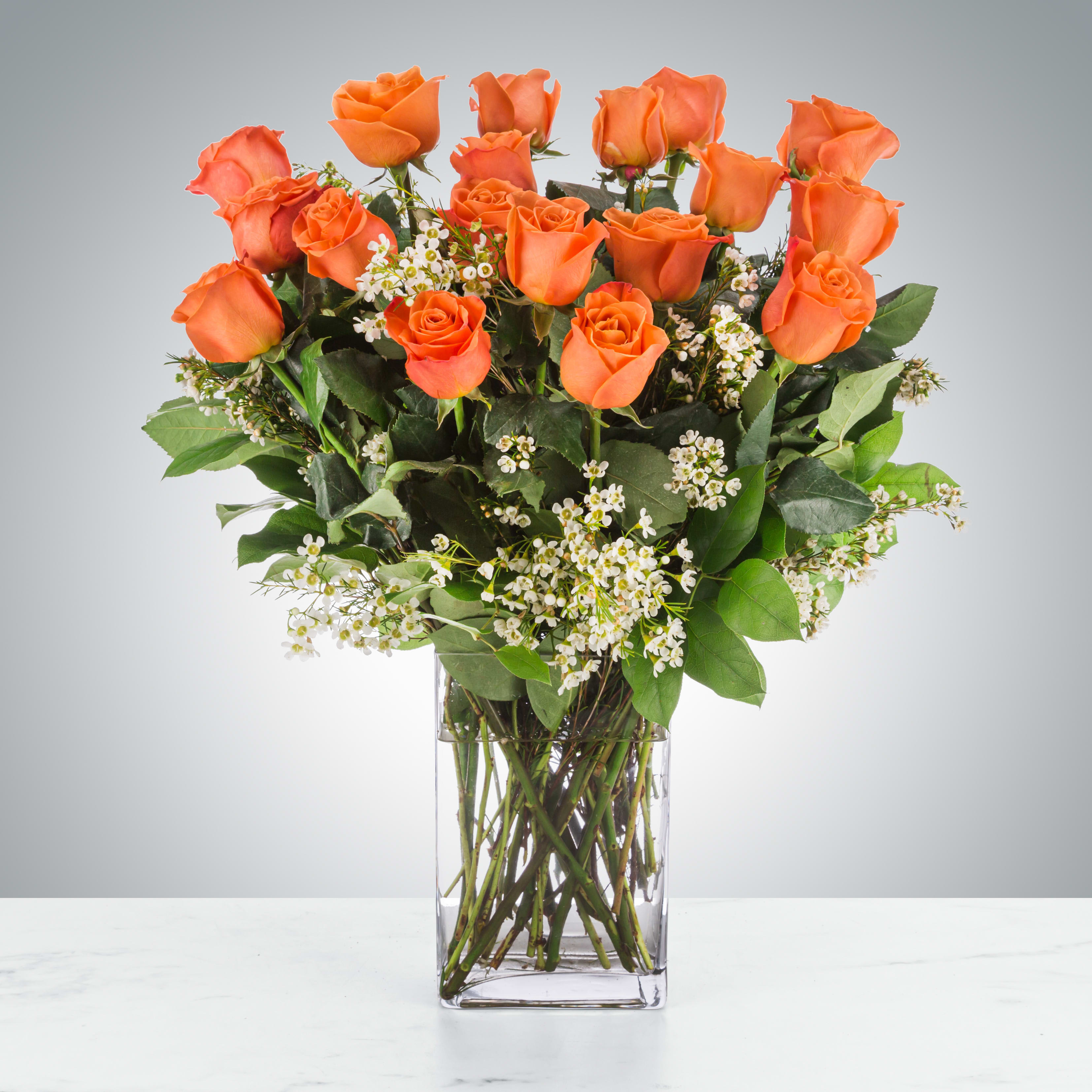 Long Stem Coral Roses by BloomNation™ - Radiant Warmth: Orange long-stem roses embody the vibrancy of a setting sun, radiating warmth and enthusiasm. With each bloom, a burst of energy and joy is captured, making them a symbol of enthusiasm and appreciation. Whether gifted as a gesture of friendship or to add a pop of color to a space, these orange roses bring a touch of exuberance and positivity wherever they go. Approximate Dimensions: 18&quot;D x 25&quot;H