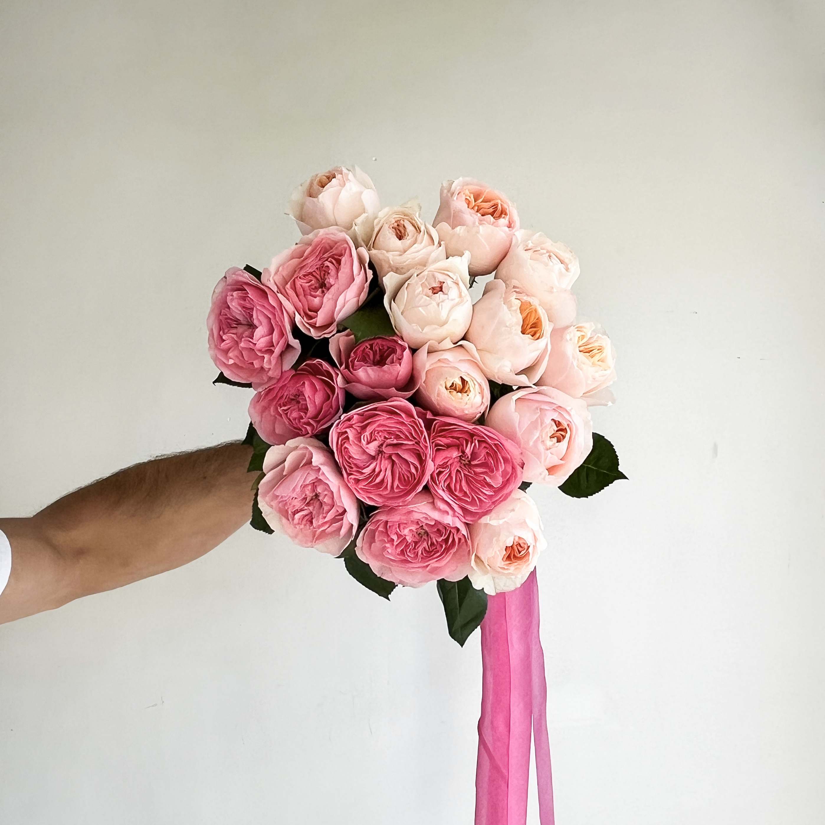 Roses - Juliette Blush and Pink Roses