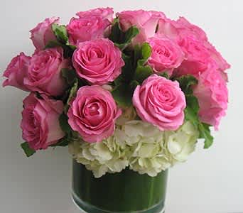 Pave of Roses - This beautiful and soft design of all one color roses arranged in a low cylinder vase is perfect for any rose lover who preffers modern over traditional. It could be designed in any color roses, just ask us for available colors. The roses are acompany by white hydrangeas and a touch of fragrant geranium leaves.