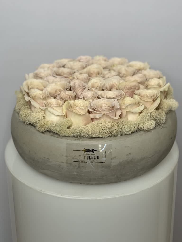 Nude Smoke - My oh, my! What nude roses do to one's eyes. Show the special someone in your life how much you care with timelessly beautiful red roses. Known globally as a classic demonstration of love and dedication, gifting these fresh flowers will not only speak for themselves but for you, too!