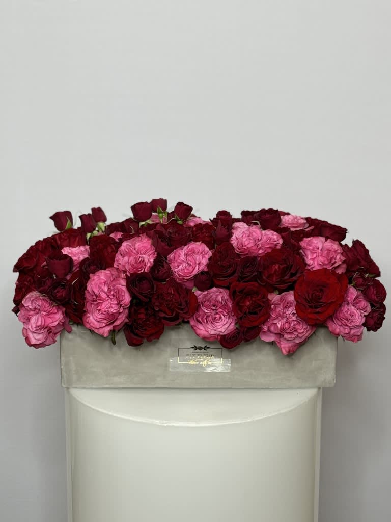 Desiree - My oh, my! What red roses do to one's eyes. Show the special someone in your life how much you care with timelessly beautiful red and pink roses. Known globally as a classic demonstration of love and dedication, gifting these fresh flowers will not only speak for themselves but for you, too!