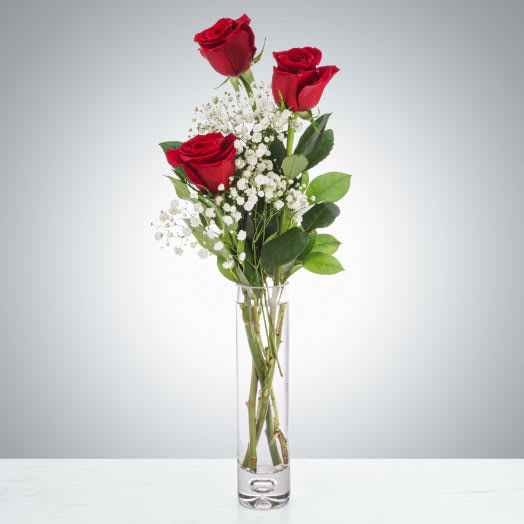 XO by BloomNation™ XO by BloomNation™ - Send a cute and sweet red rose bud vase to your love, your friend, or your relative for Valentine's day. Sending this arrangement is a lovely gesture and shows that you are thinking of them without breaking the bank! Approximate Dimensions: 5"D x 15"H Standard - 3 Red Roses with Fresh Garden Greens and Filler - Vase Deluxe - 6 Red Roses with Fresh Garden Greens and Filler - Vase Premium - 12 Long Stem Red Roses with Fresh Garden Greens and Filler - Vase Care Tips: Place your bouquet in a cool location away from direct sunlight, heating or cooling vents, drafty places, directly under ceiling fans, or on top of televisions or radiators. Check water level daily, keep the vase full with clean water. Change water every 2-3 days and apply a sharp fresh cut to the stems to ensure extended flower's life span.