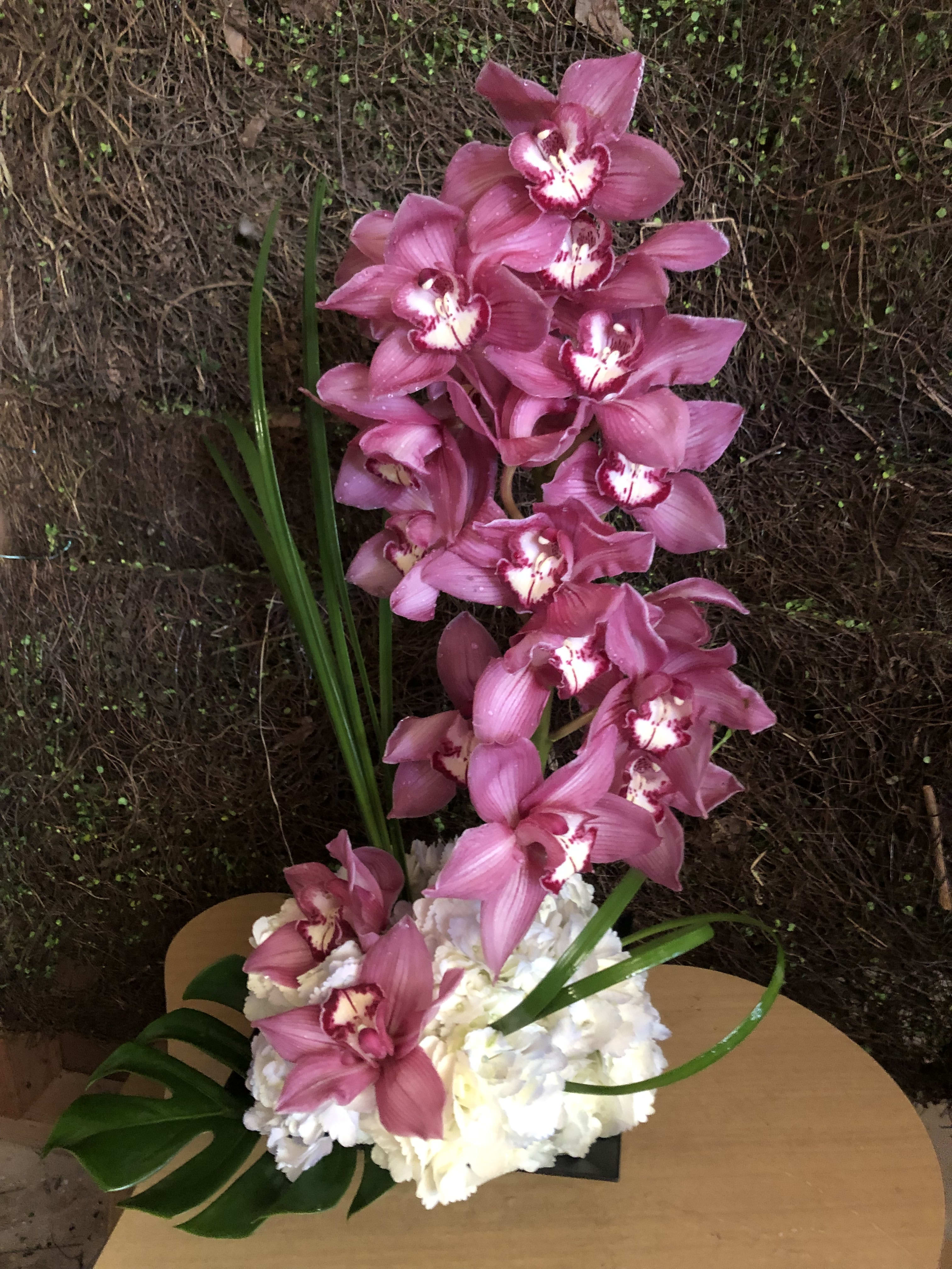 Cymbidium #SD10 -  Your choice of color Cymbidium Orchid with Hydrangea monster leafs &amp; grass in a flat dish Really a great deal Comes in Soft or Hot Pinks, Green, White, Yellow 