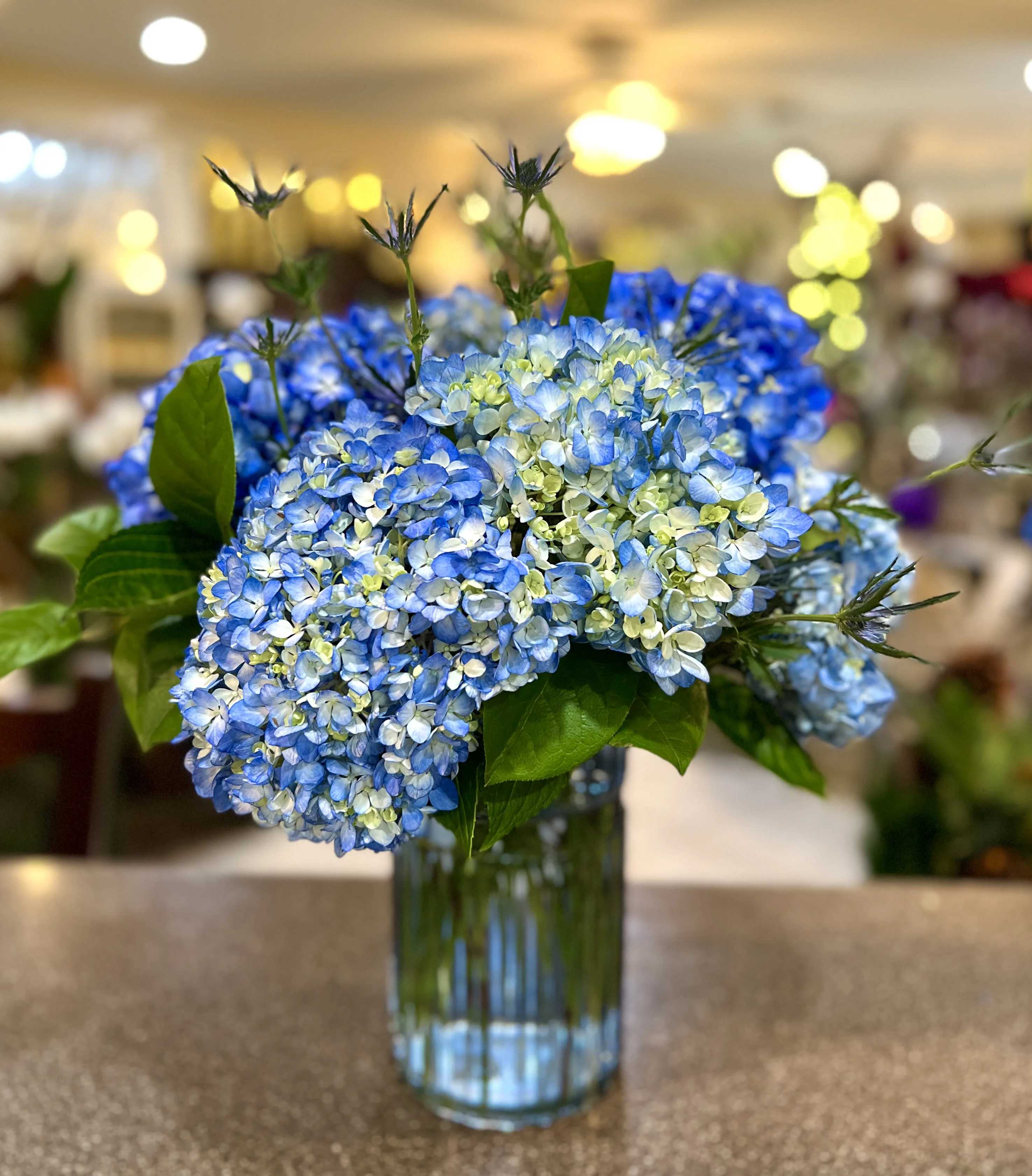 Blue Extravaganza by Heavenly Inspirations - This beautiful arrangement of stunning Blue Hydrangea is sure to put a smile on any face! Only available for local deliveries.