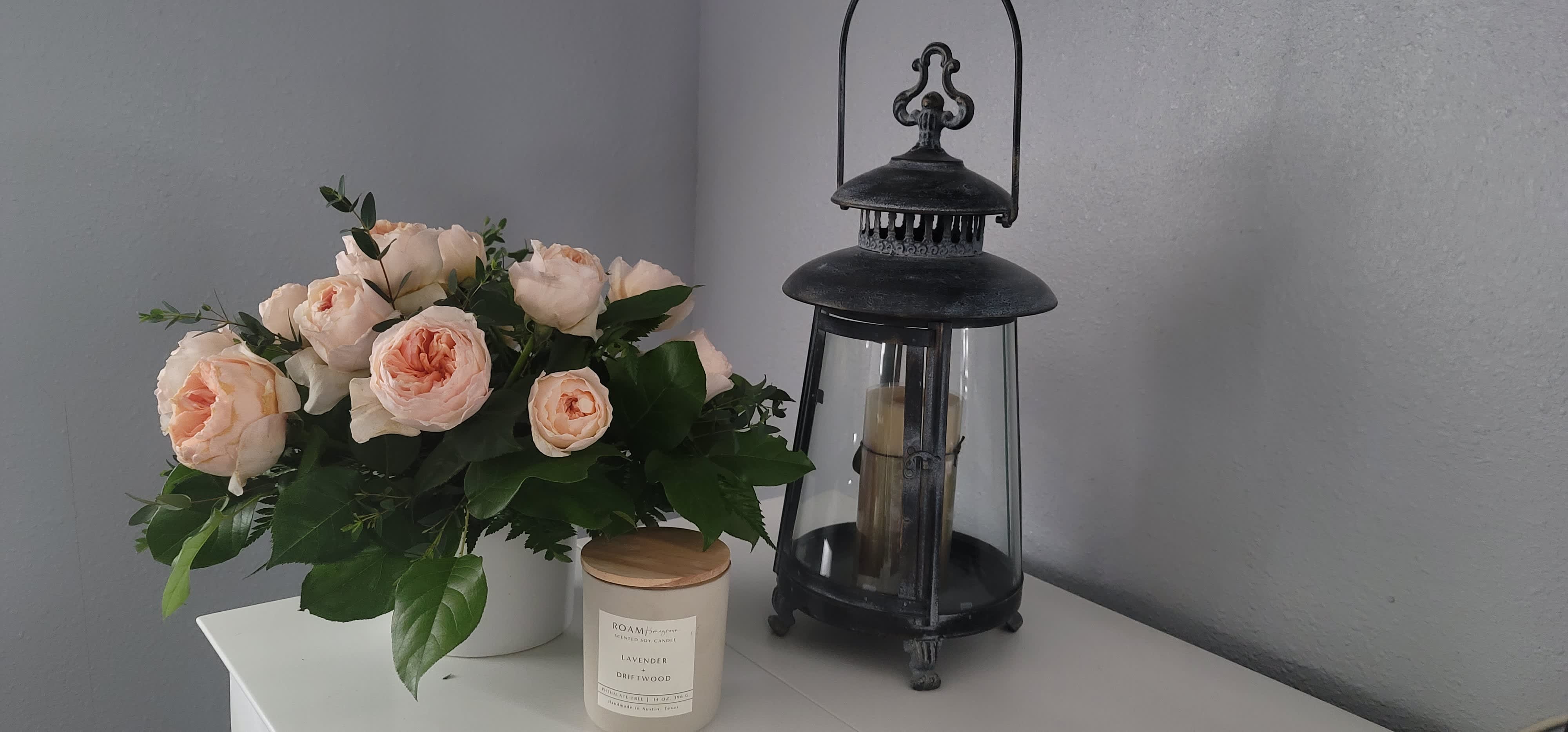 Juliet Garden - Juliet garden roses 