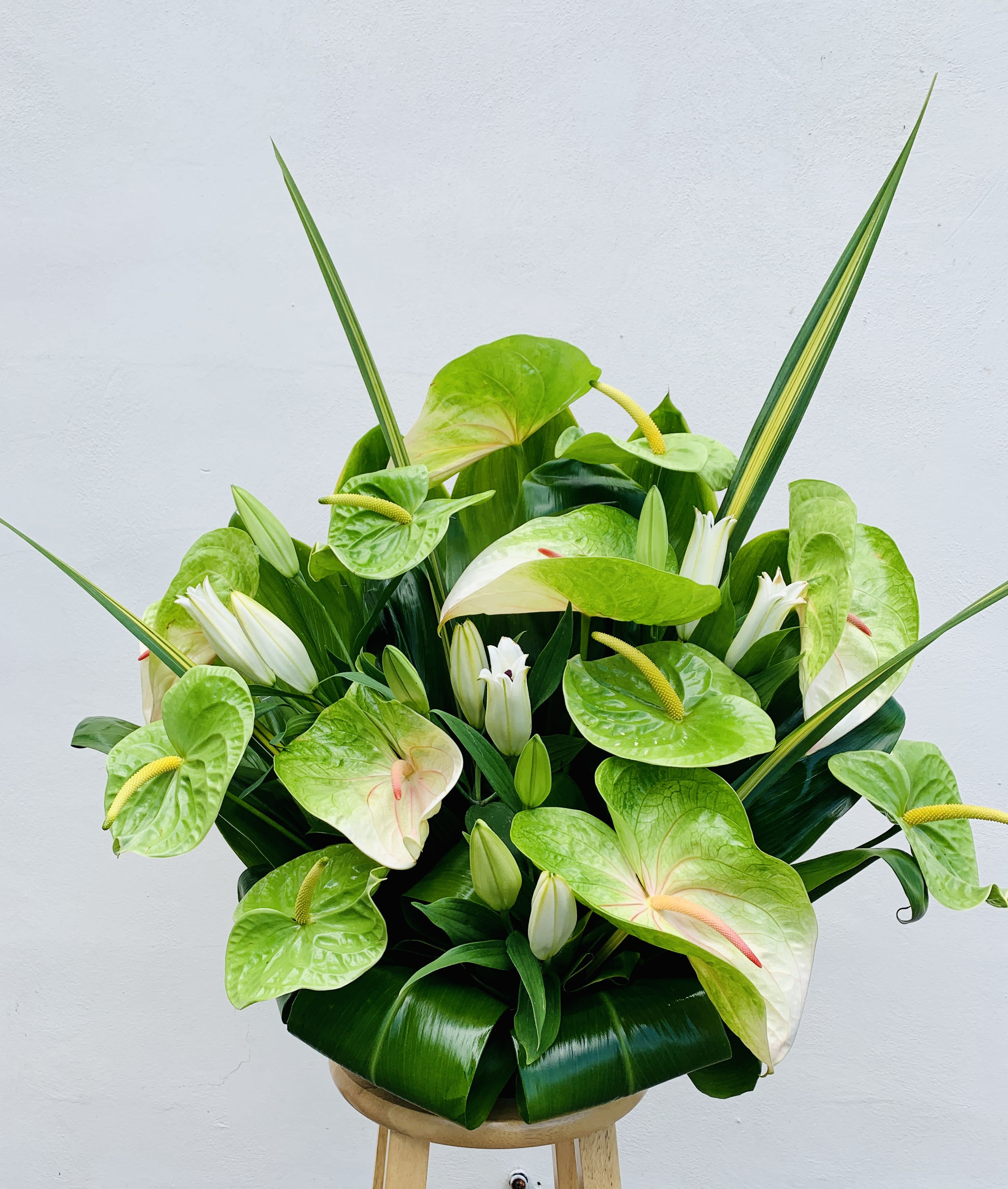 #158 Green Anthurium Mix Arrangement with stargazer lilies - Large Midori or Rainbow Anthuriums with stargazer lilies. standard as shown