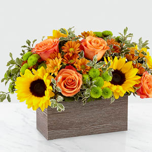 Harvest Garden - Delight your friends and family with an assortment of bright Autumn colors in a rustic, textured container.