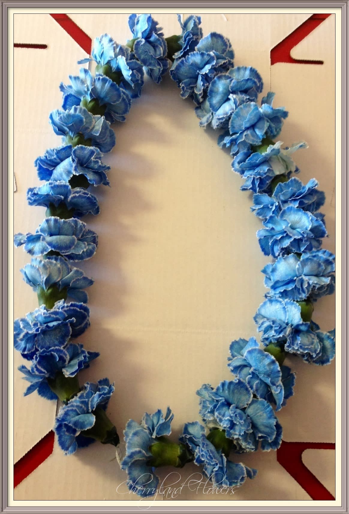 CF359 - This gorgeous carnation lei, consisting of fresh blue carnations is a common symbol of love, friendship, celebration, honor, and happy greetings crafted in the tradition of the Hawaiian Islands, picked fresh for you to offer fun and festive beauty to your special occasion.
