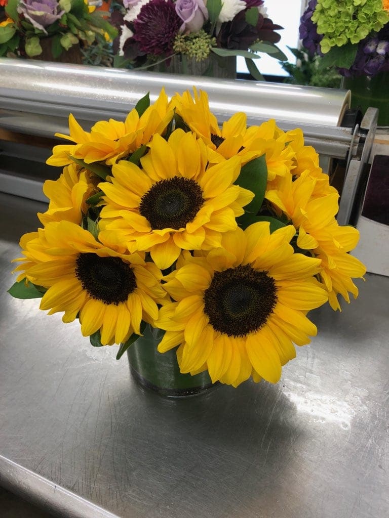 Sunny Sunflowers Sunny Sunflowers - A cluster of sunflowers is all you need to cheer anyone up. Arrives short and compact in a leaf wrapped glass vase.