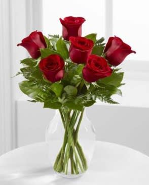 Simply Enchanting Rose - 6 red roses in an 8in vase. Height 15in x Width 12in