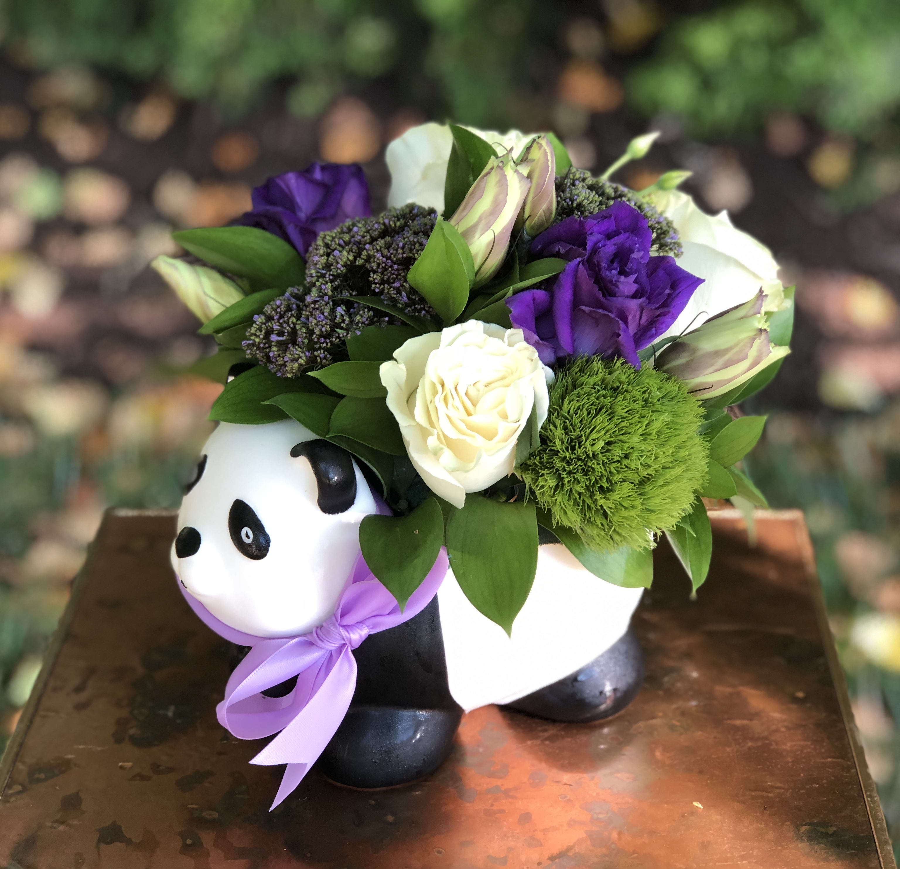 Parker the Panda - Filled with white roses, purple lizzy, purple trachelium and green dianthus, Parker is sure to please. Tax free. Same day hand delivery.