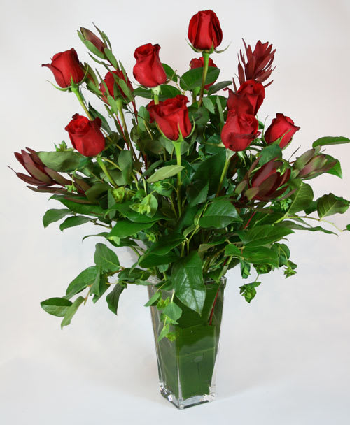 Eloquent Dozen Roses - Premium Red Roses Dozen Other colors available-if you would like different color to red please put in notes section