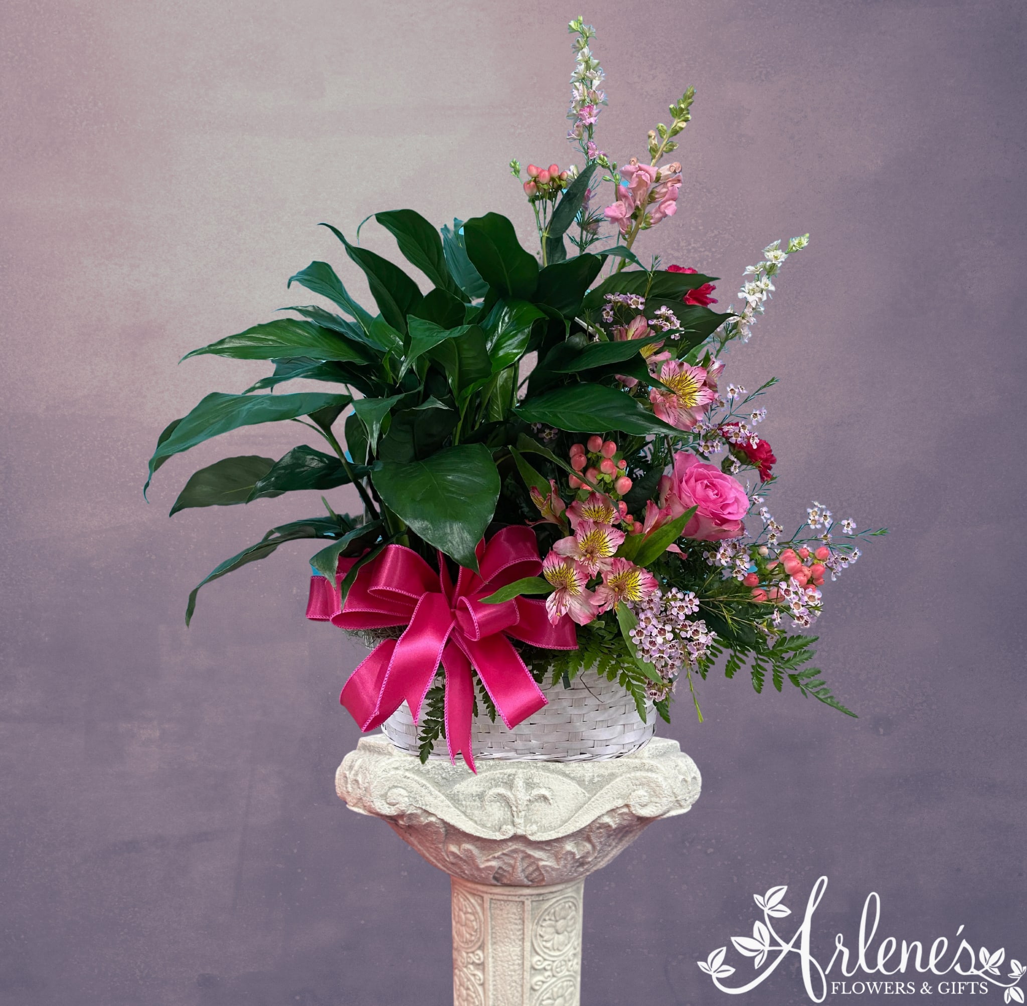 Designer's Choice Half and Half Basket - Half plant, half arrangement, it's the best of both worlds. The flowers bring beauty and color and the plant brings stability and longevity to your gift. This will be the designer's choice of plants and flowers. Call to order if you would like specifics or to give direction on the plant, container, or flowers we choose.
