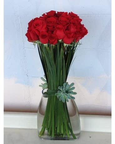  Allure Roses - L.A.'s Love Unveiled, with a Succulent Surprise: Dave's Roses, Unforgettable Twists (Santa Monica, Hollywood, Pasadena, Beverly Hills, West Hollywood) This Valentine's Day, forget predictable gestures in Los Angeles and paint the town crimson with a love story that blooms with unexpected delight! Dave's Flowers invites you to unveil a breathtaking rose arrangement, its velvety petals basking in the California sun, each bloom a whispered promise of affection. But hold on, this isn't your everyday bouquet; it's a love story with a sweet succulent twist!  More Than Just Stunning Roses:  L.A.'s Love Unfurled: Our skilled florists are love's architects, meticulously weaving roses and succulents into a captivating masterpiece. Imagine vibrant hues, intoxicating fragrances, and playful textures that capture the vibrant spirit of your love story. Prepare for gasps of awe and declarations of &quot;forever&quot; when you unveil this enchanting surprise. Locally-Sourced Radiance: We hand-pick only the freshest, most radiant roses and succulents from trusted L.A. growers, ensuring long-lasting brilliance and captivating scents that linger like whispered promises in the evening breeze. Beyond February 14th: Rekindle the flame anytime! This versatile masterpiece shines on anniversaries, birthdays, or simply as a reminder that your love blooms uniquely and beautifully, with unexpected delights around every corner. Blooming Convenience for Busy Romantics:  Skip the L.A. traffic and let love blossom at your doorstep. We offer convenient flower delivery across Santa Monica, Hollywood, Pasadena, Beverly Hills, and West Hollywood with same-day or scheduled options. Speak Beyond Words: Let this enchanting bouquet do the talking for your heart. Add a personalized message to make your gift even more special and ignite a spark of joy in your loved one's eyes. Sustainable Love Stories: We're committed to eco-friendly practices, sourcing our roses and succulents responsibly to ensure your love story blossoms beautifully for the planet too. Ready to craft your unforgettable rose masterpiece with a surprise succulent twist this Valentine's Day? Contact Dave's Flowers today and let our blooming artists translate your love into a captivating bouquet that reflects the depth, passion, and unexpected wonders of your connection. Explore our world of blooming secrets and make every moment a love story unveiled in the heart of L.A.