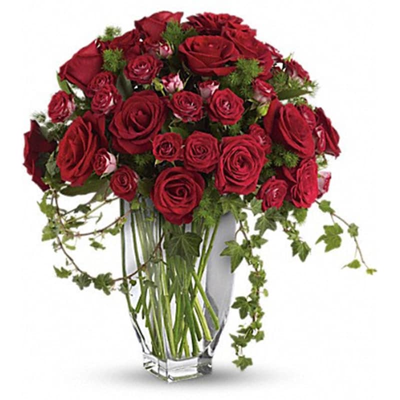 Rose Romanesque Bouquet - Red Roses - Express your love with our exquisite Valentine's Day floral arrangement, perfect for Los Angeles, Santa Monica, Hollywood, Pasadena, Beverly Hills, and West Hollywood residents! Send a heartfelt gift with our stunning red rose bouquet, a symbol of passion and romance.  Crafted with care by our local florists, this arrangement features brilliant red roses and spray roses, accented with vibrant fern and ivy foliage, elegantly presented in our exclusive Jewel vase. Surprise your special someone with flower delivery in Los Angeles, Santa Monica, Hollywood, Pasadena, Beverly Hills, or West Hollywood.  Approximate dimensions: 19 1/2&quot; W x 20&quot; H. Order now to convey your care and compassion beautifully this Valentine's Day!